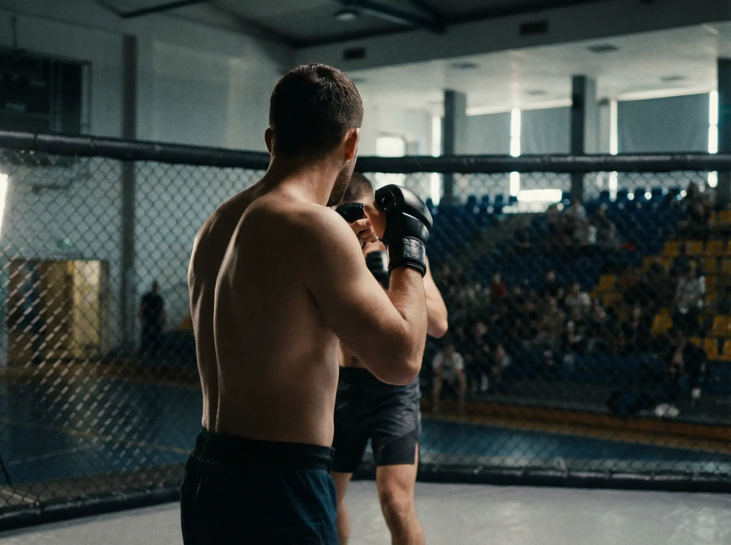 Zakłady na PFL, ONE i Oktagon – Niszowe Federacje MMA | RINGBET