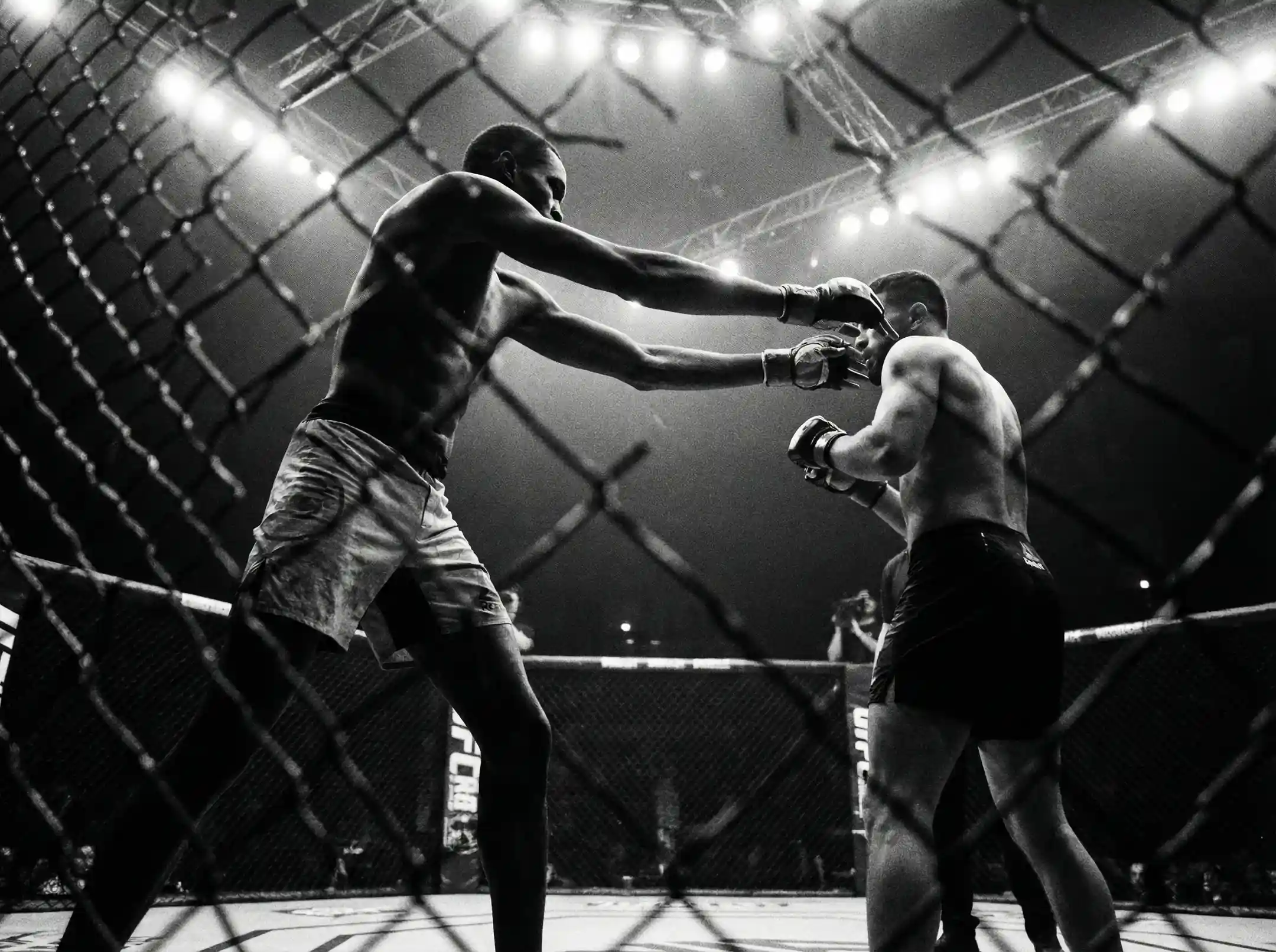 Reach MMA – Jak Wymiary Fizyczne Wpływają na Zakłady | RINGBET